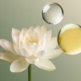 The Ritual of Jing Massage Oil, , hi-res